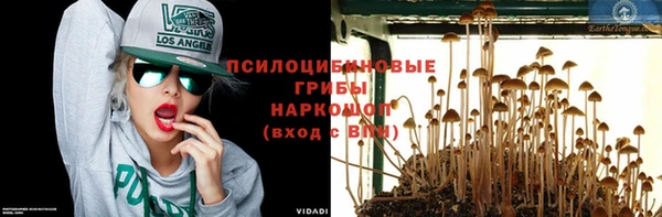 прущие грибы Алексин