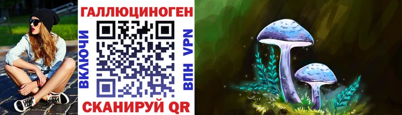 Псилоцибиновые грибы Psilocybine cubensis  hydra сайт  Ардатов 